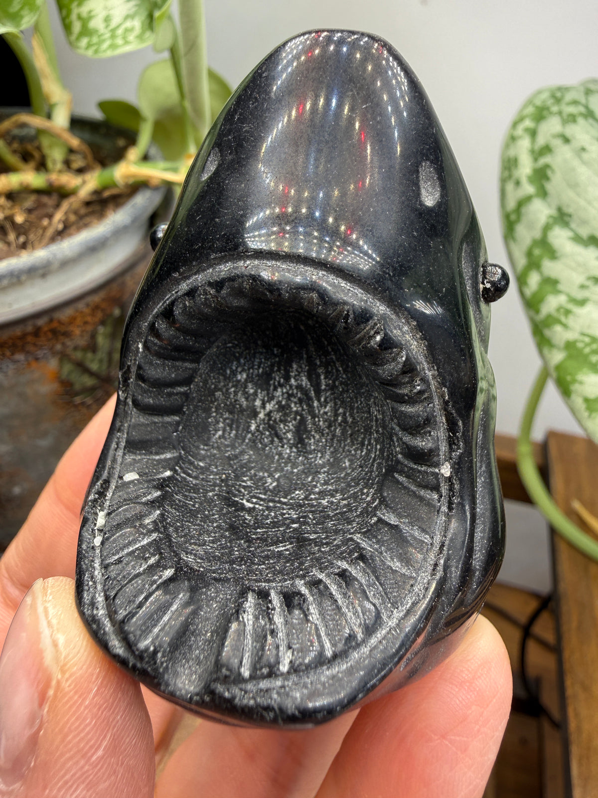 Obsidian Biting Shark- 2.4 inches