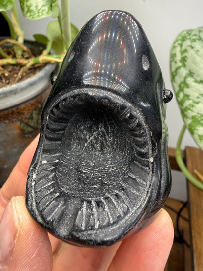 Obsidian Biting Shark- 2.4 inches