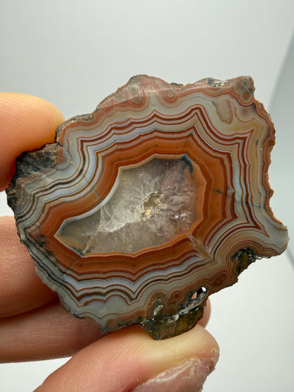 Agate- Fairburn, Custer County, South Dakota, USA