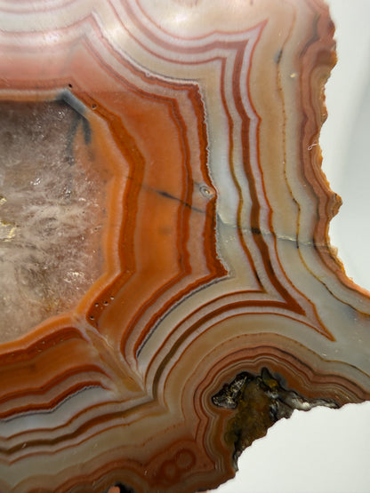 Agate- Fairburn, Custer County, South Dakota, USA