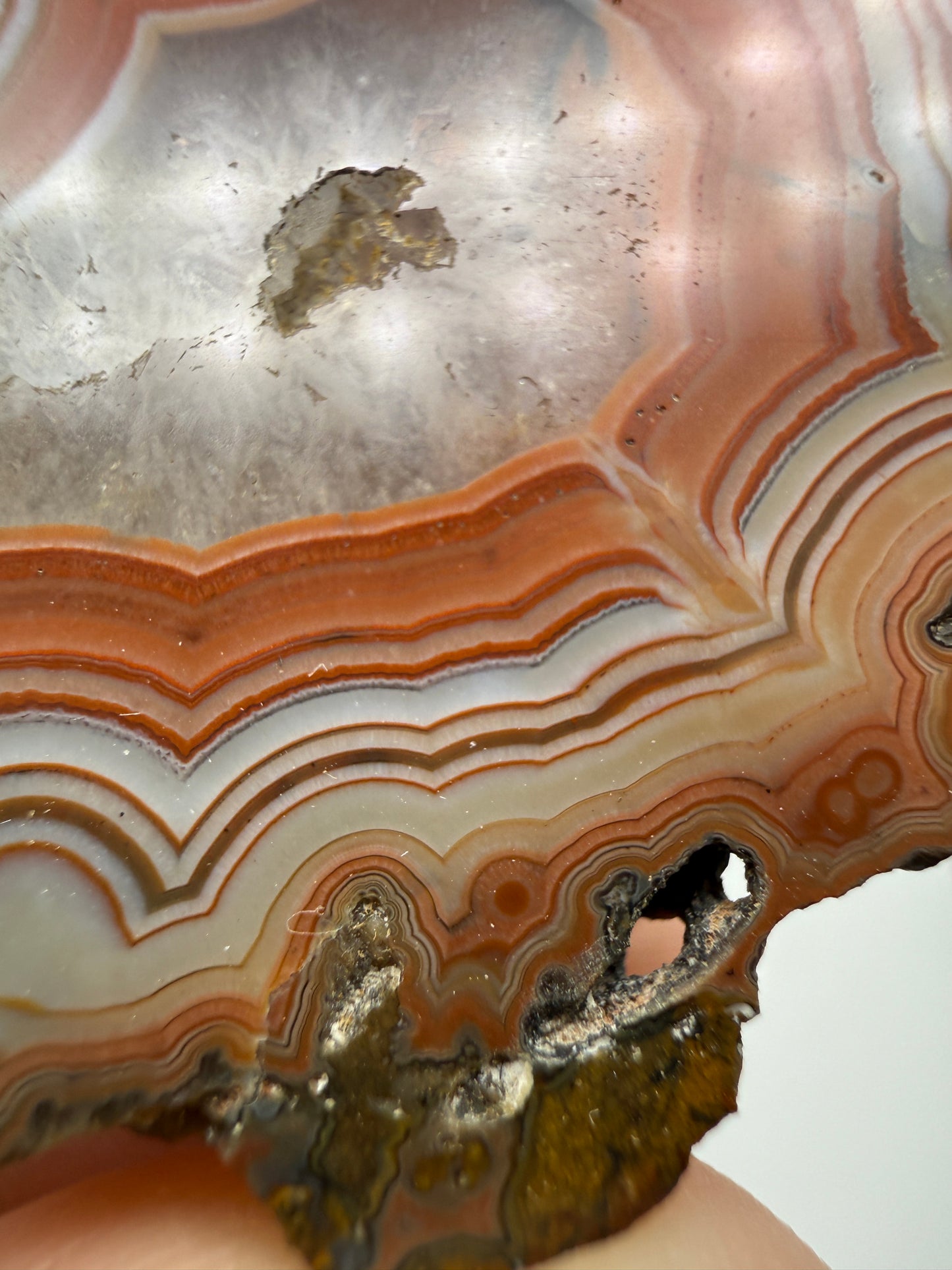 Agate- Fairburn, Custer County, South Dakota, USA