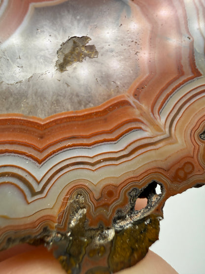 Agate- Fairburn, Custer County, South Dakota, USA