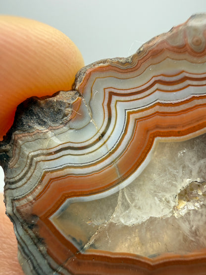 Agate- Fairburn, Custer County, South Dakota, USA