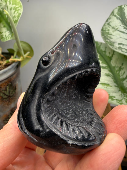 Obsidian Biting Shark- 2.4 inches