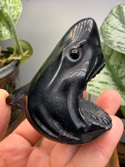Obsidian Biting Shark- 2.4 inches