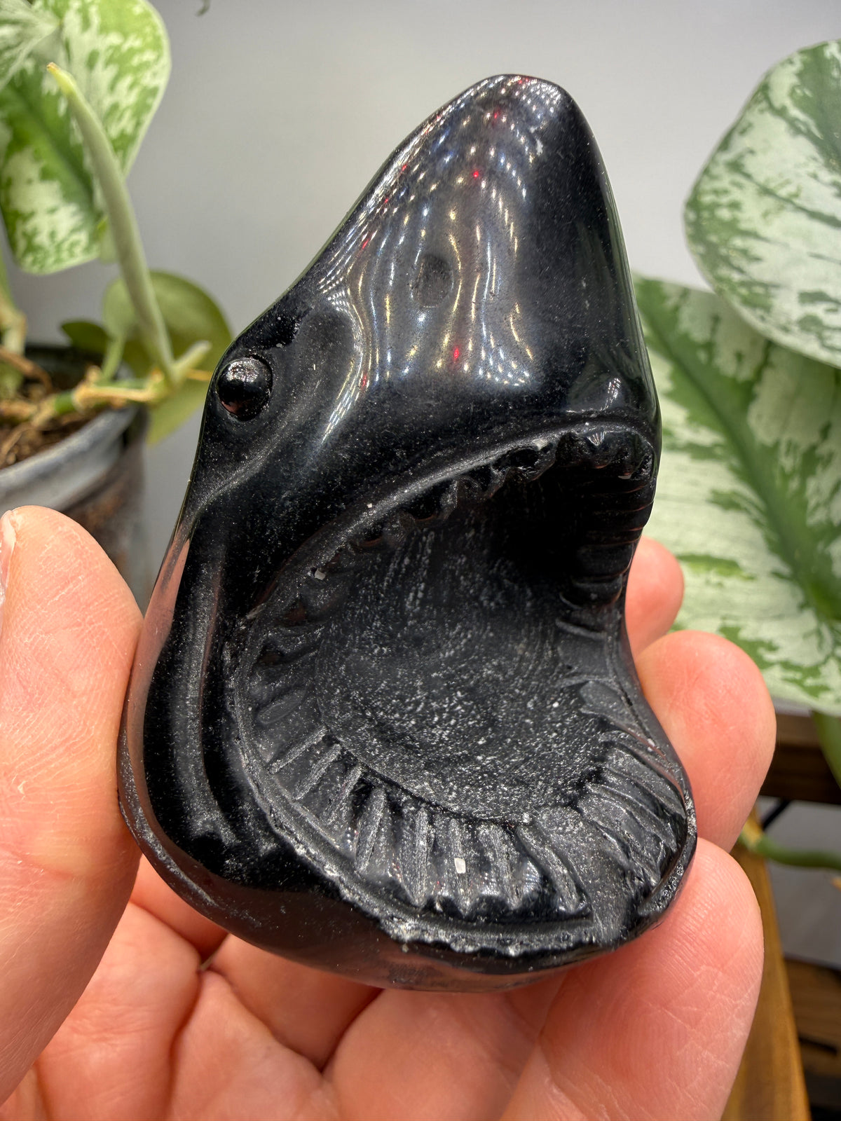 Obsidian Biting Shark- 2.4 inches