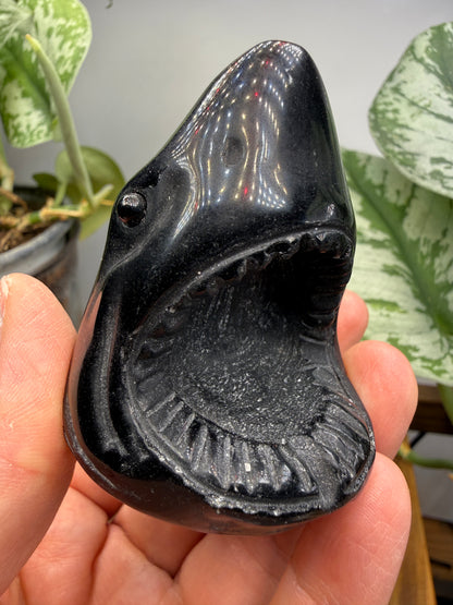 Obsidian Biting Shark- 2.4 inches