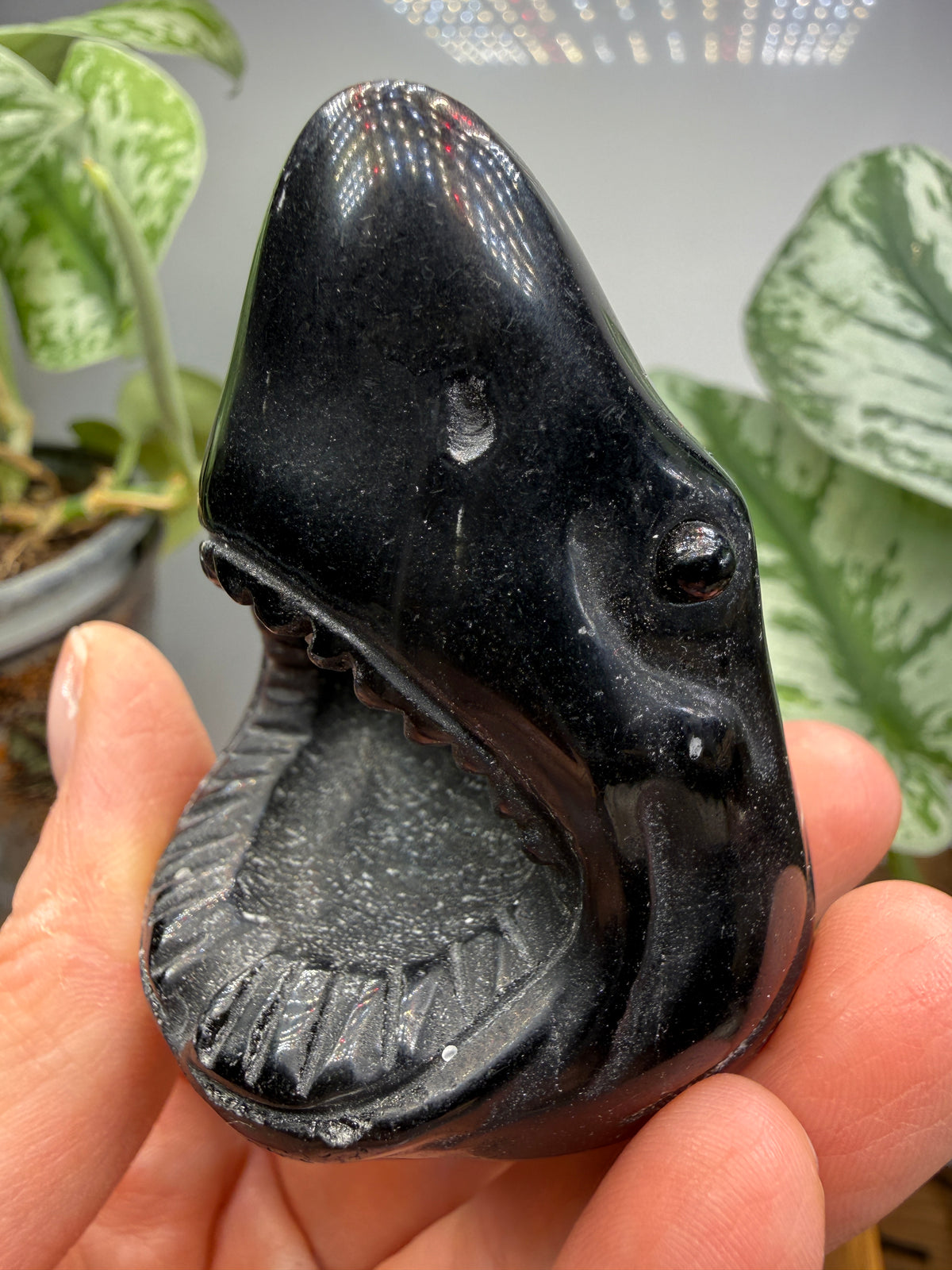Obsidian Biting Shark- 2.4 inches
