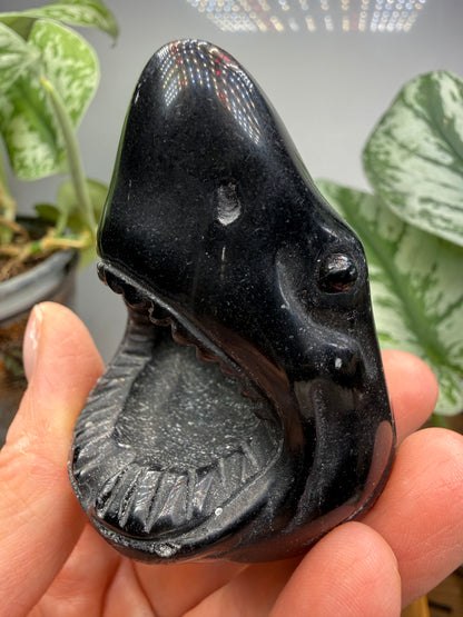 Obsidian Biting Shark- 2.4 inches