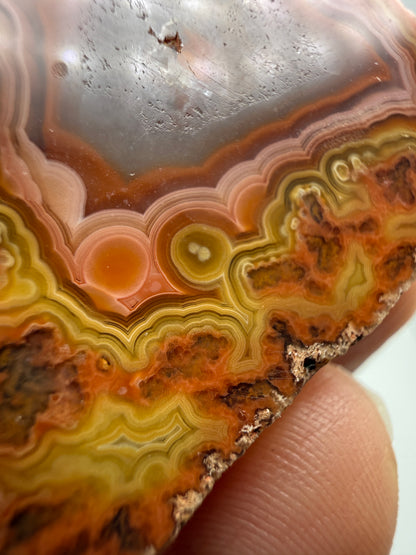 Agate (Laguna)- Estacion Ojo Laguna, Ahumada Municipality, Chihuahua, Mexico