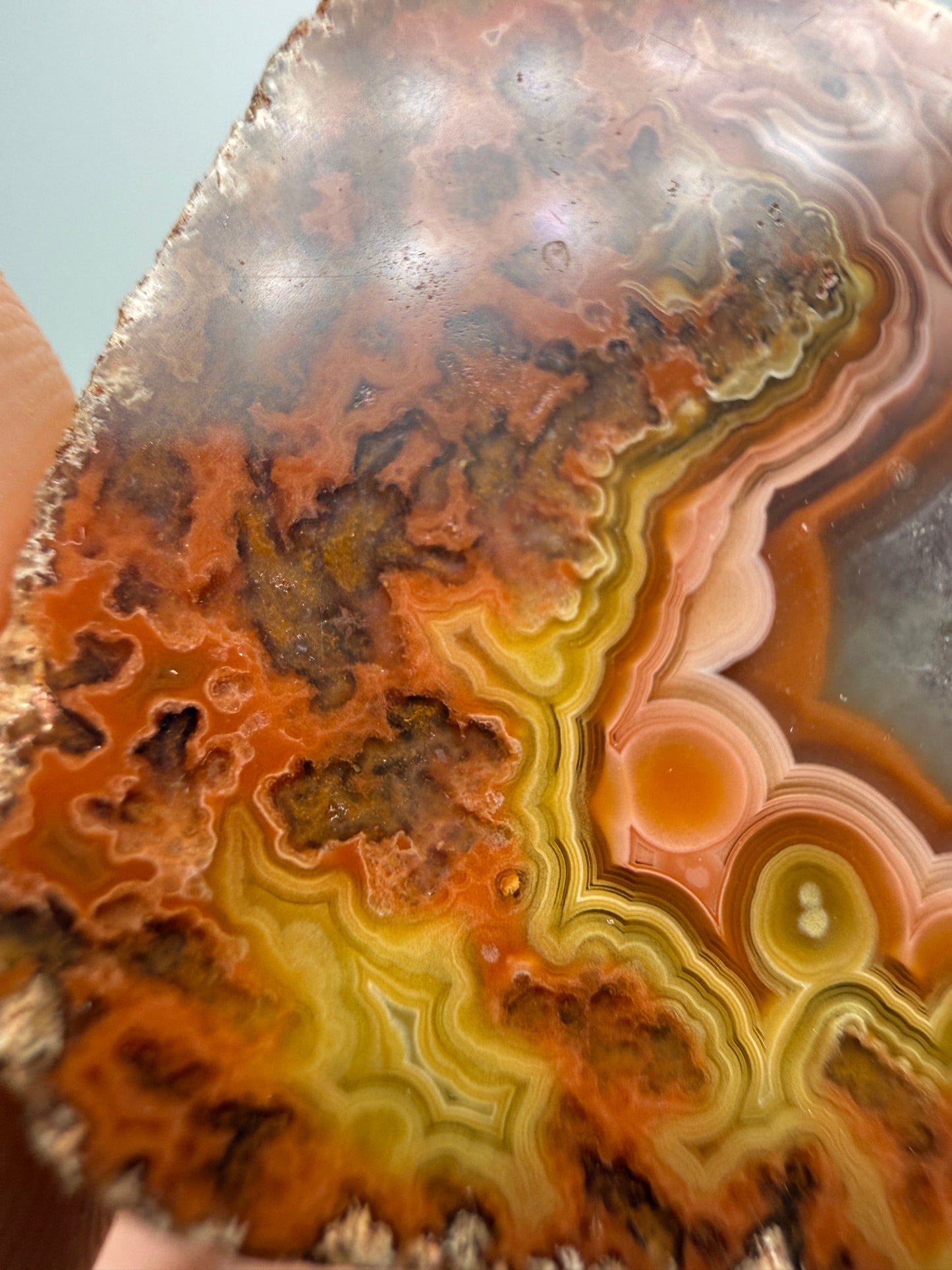 Agate (Laguna)- Estacion Ojo Laguna, Ahumada Municipality, Chihuahua, Mexico