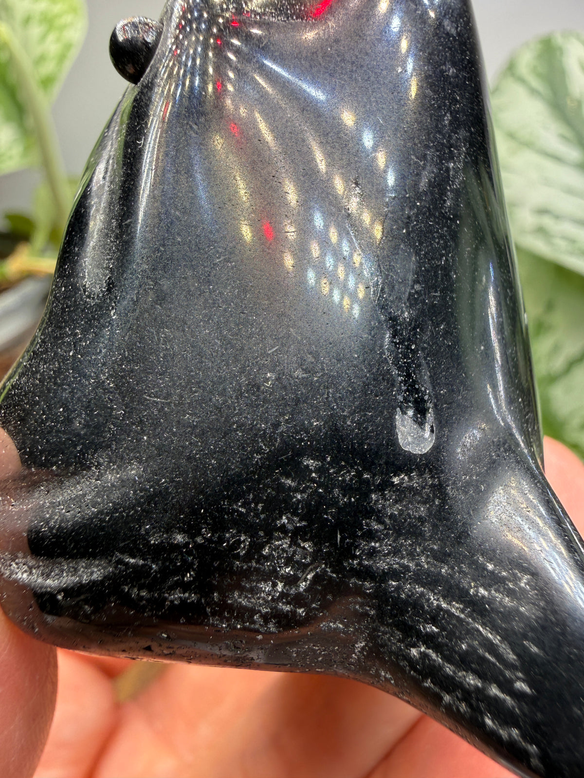 Obsidian Biting Shark- 2.4 inches