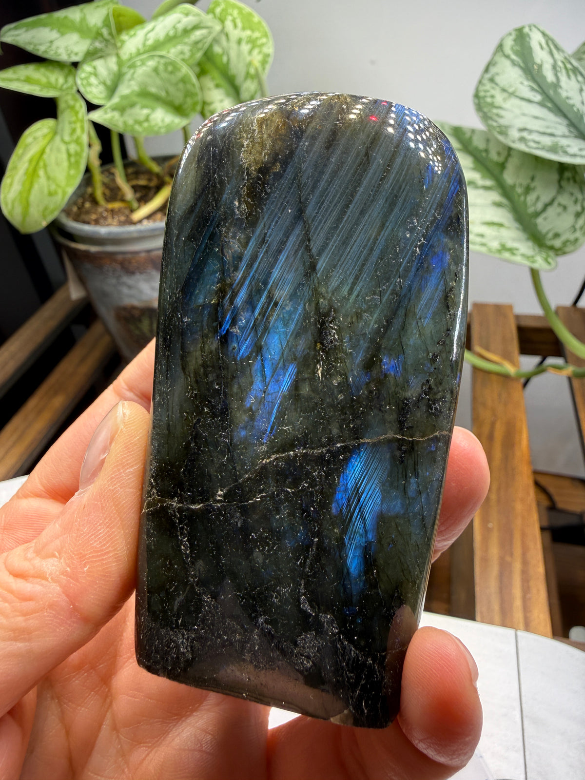 Labradorite Freeform with Blue Flash- 3.5" inches