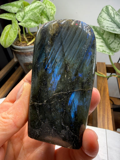 Labradorite Freeform with Blue Flash- 3.5" inches