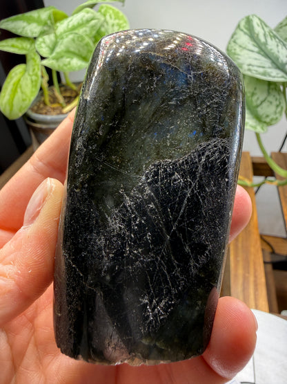 Labradorite Freeform with Blue Flash- 3.5" inches