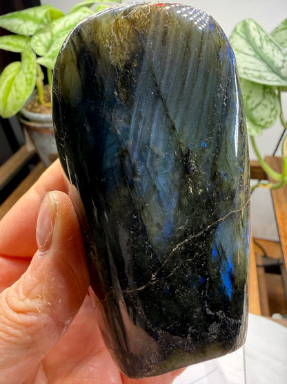 Labradorite Freeform with Blue Flash- 3.5" inches