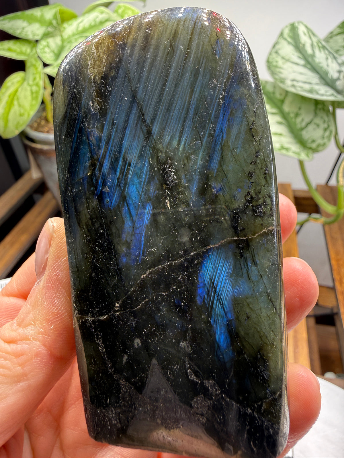 Labradorite Freeform with Blue Flash- 3.5" inches
