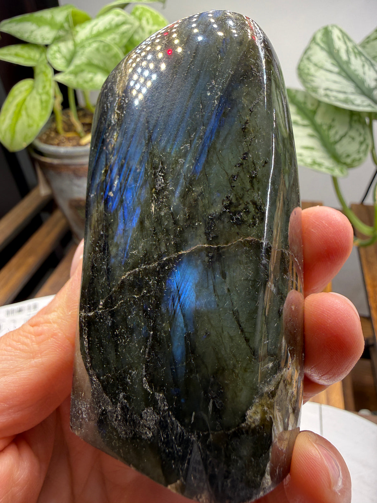 Labradorite Freeform with Blue Flash- 3.5" inches