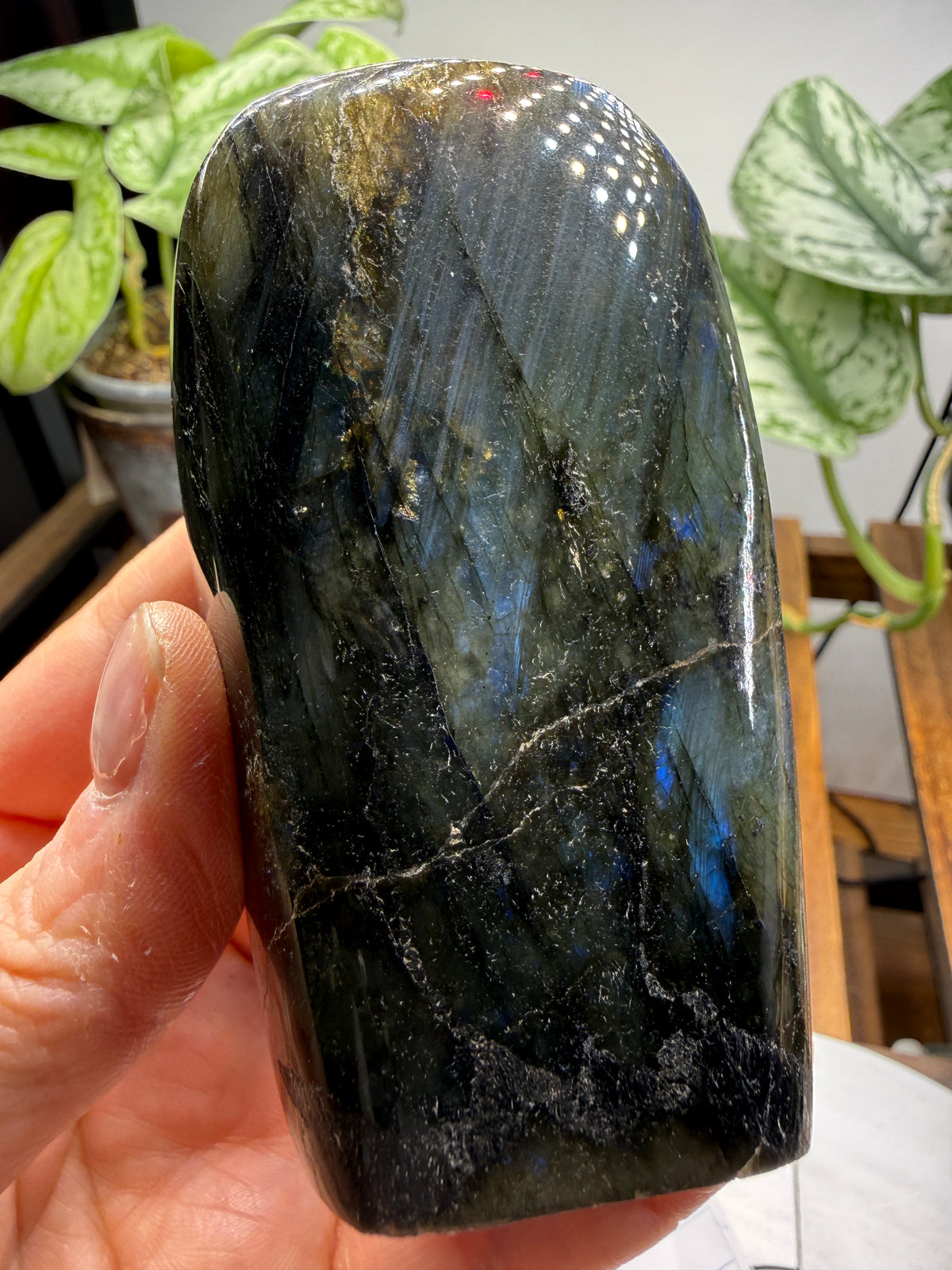 Labradorite Freeform with Blue Flash- 3.5" inches