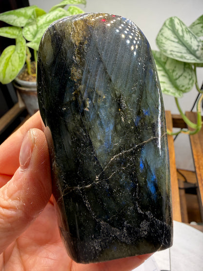 Labradorite Freeform with Blue Flash- 3.5" inches