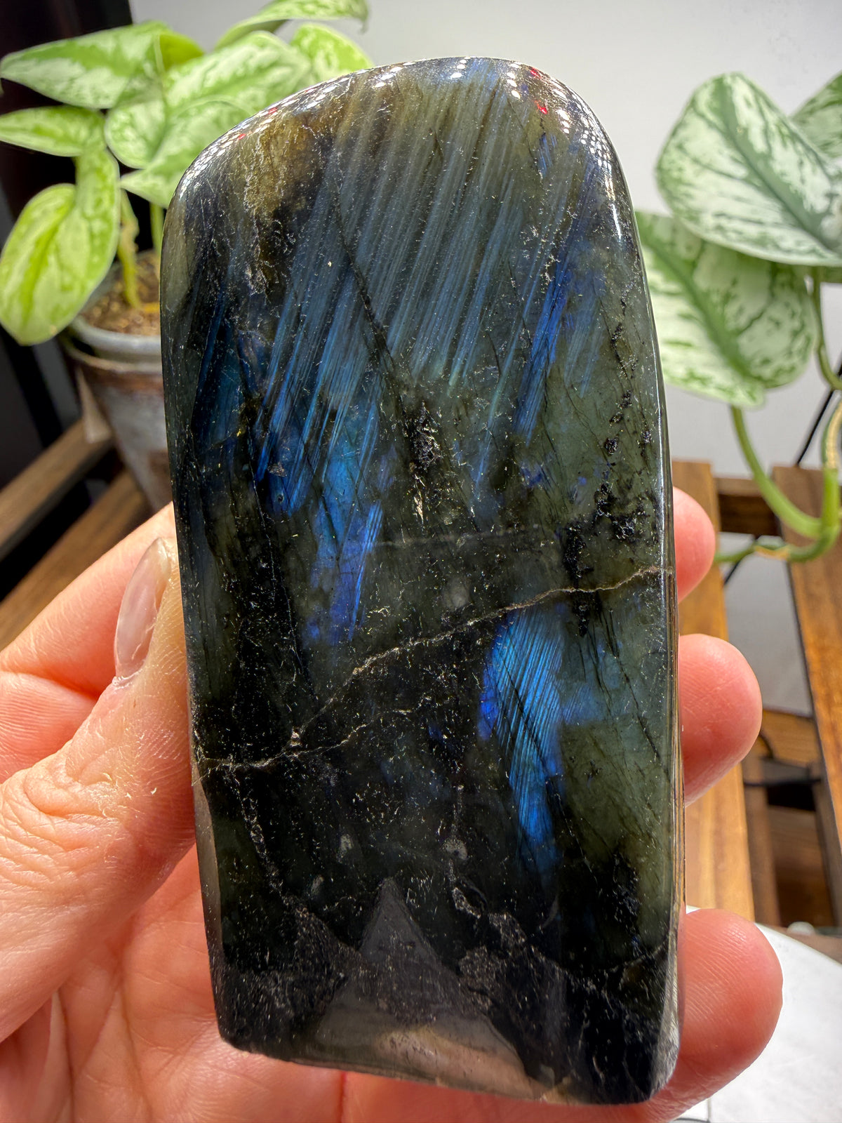 Labradorite Freeform with Blue Flash- 3.5" inches