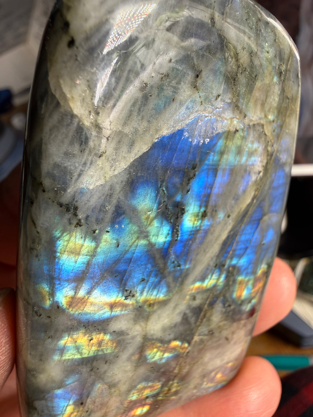 Labradorite Freeform with Blue Flash- 3.0" inches