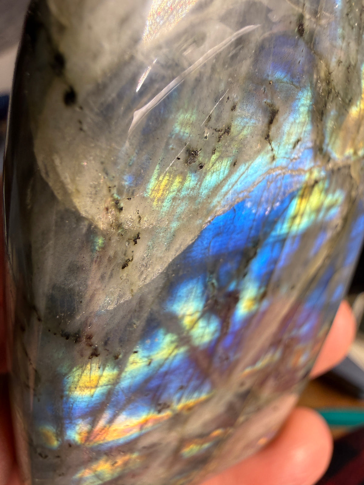 Labradorite Freeform with Blue Flash- 3.0" inches