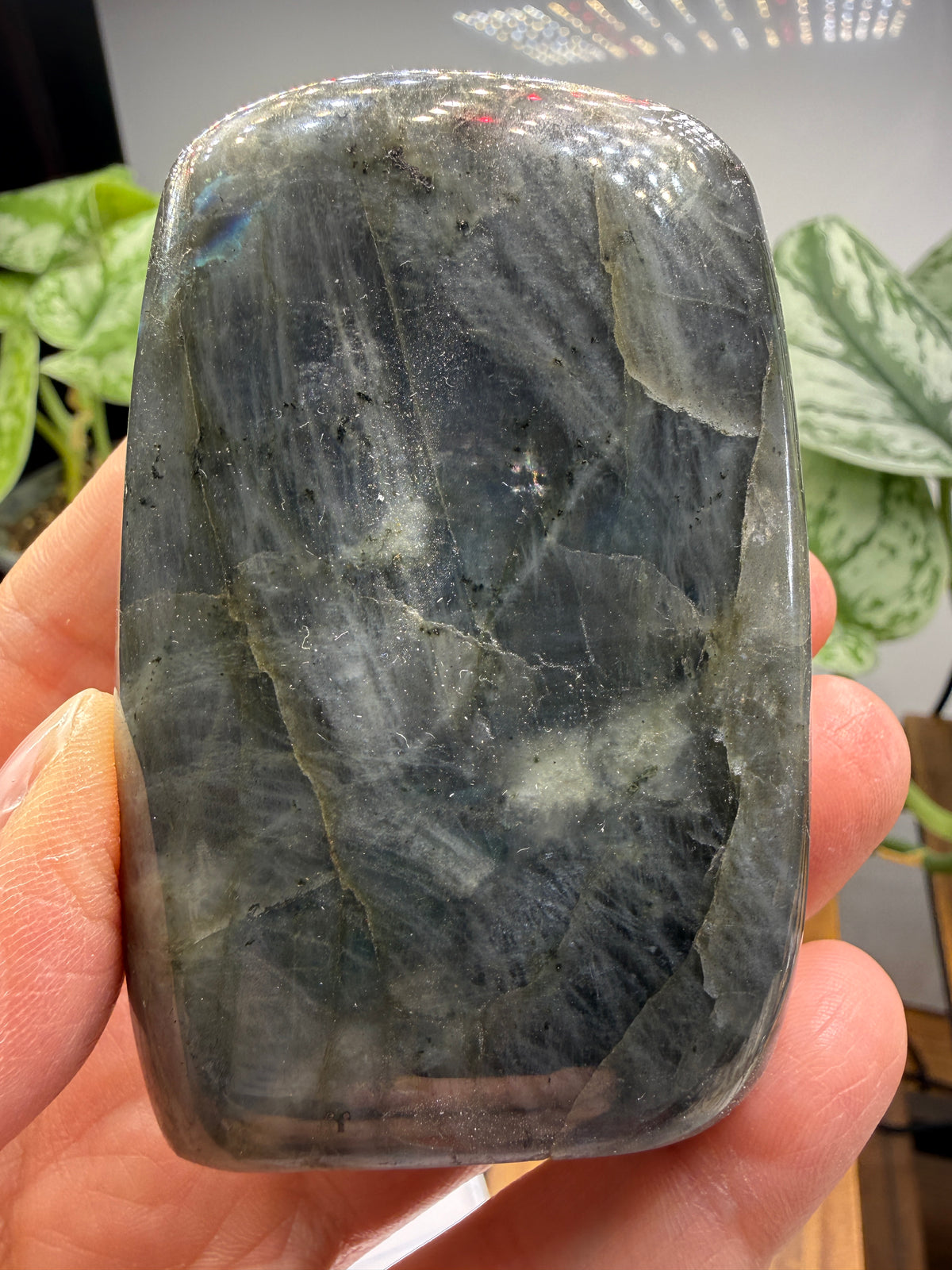 Labradorite Freeform with Blue Flash- 3.0" inches