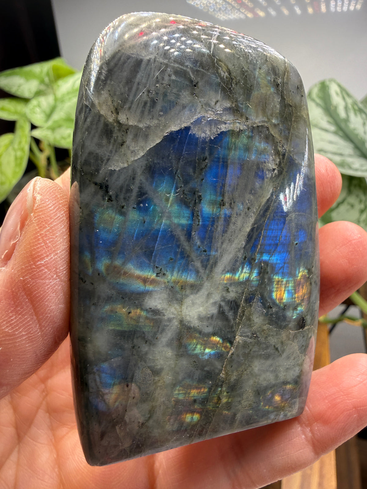 Labradorite Freeform with Blue Flash- 3.0" inches