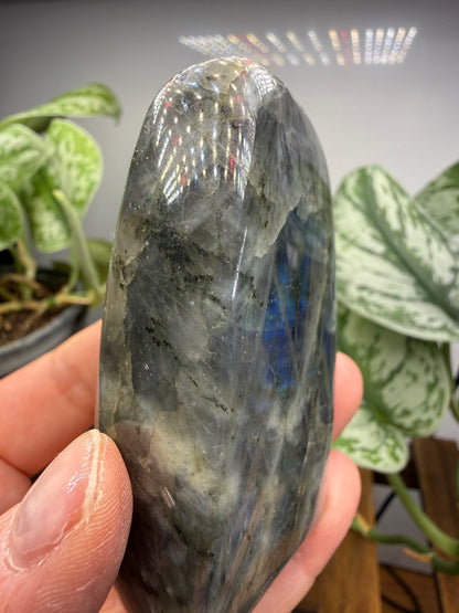 Labradorite Freeform with Blue Flash- 3.0" inches