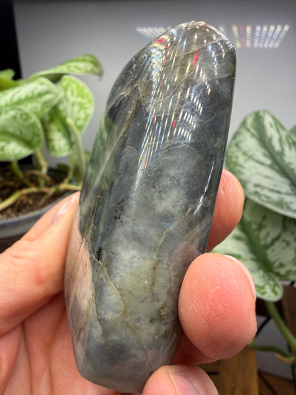 Labradorite Freeform with Blue Flash- 3.0" inches
