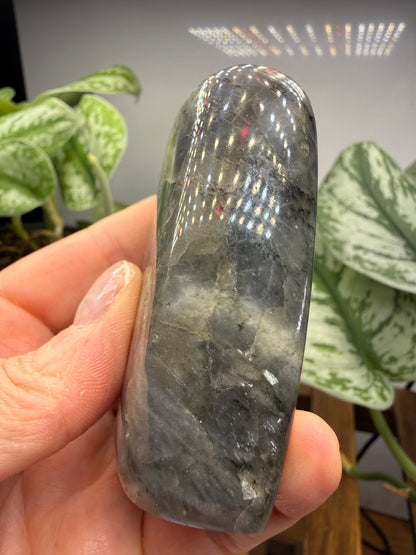 Labradorite Freeform with Blue Flash- 3.0" inches