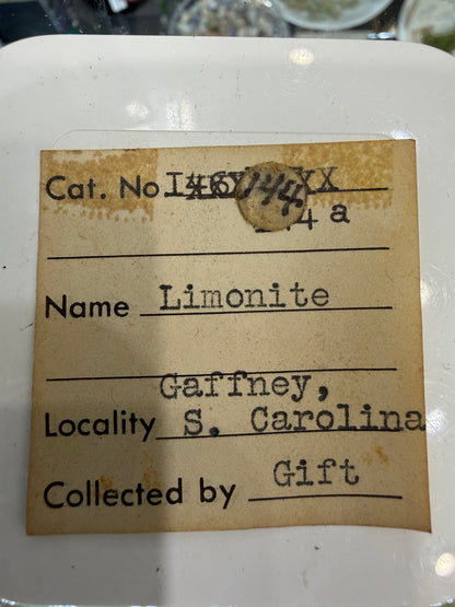 Limonite- Gaffney Area, Cherokee County, South Carolina, USA