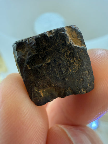 Limonite pseudomorph after Pyrite- Chapel Hill, Orange County, North Carolina, USA