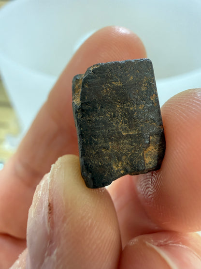 Limonite pseudomorph after Pyrite- Chapel Hill, Orange County, North Carolina, USA