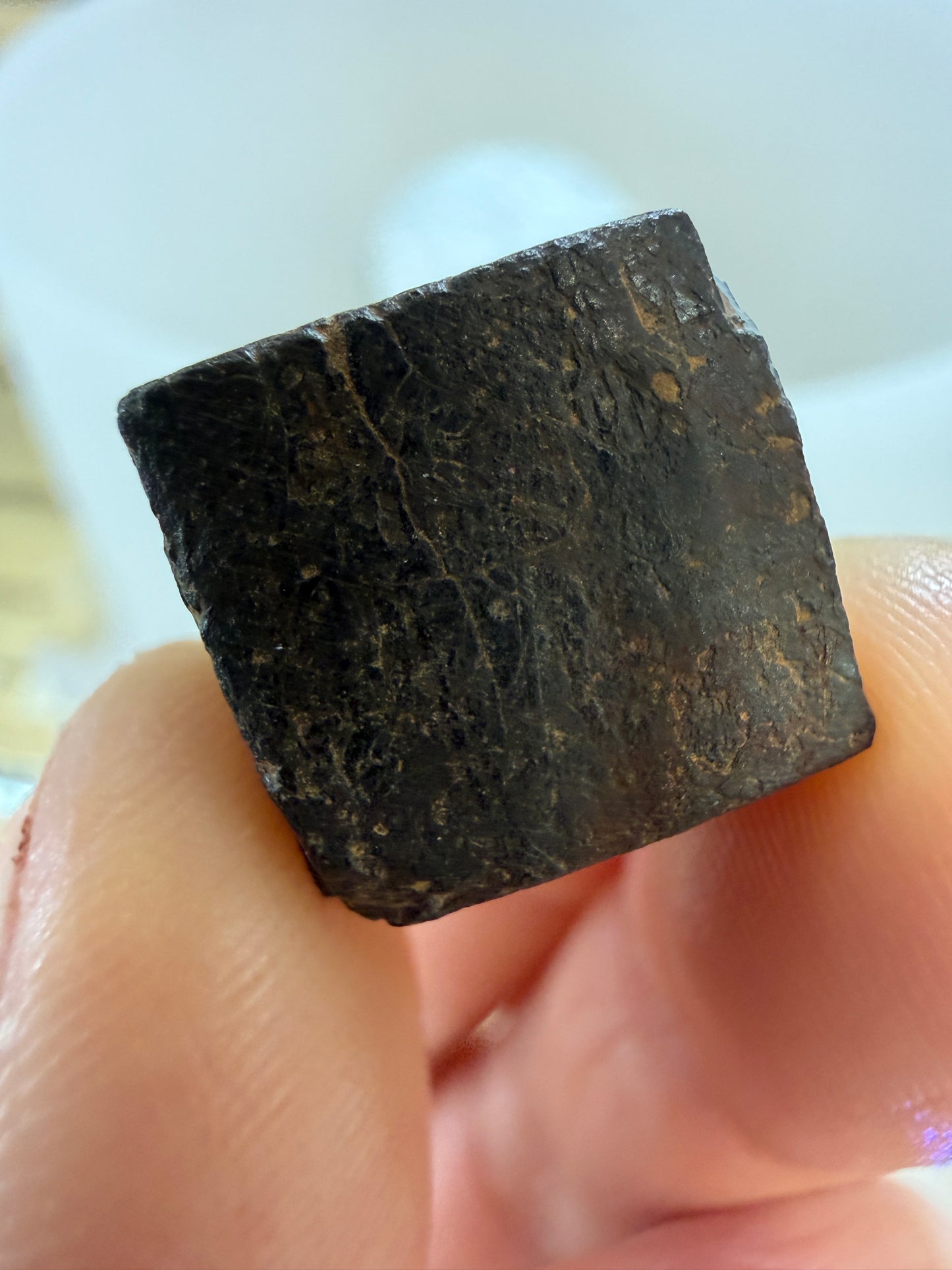 Limonite pseudomorph after Pyrite- Chapel Hill, Orange County, North Carolina, USA