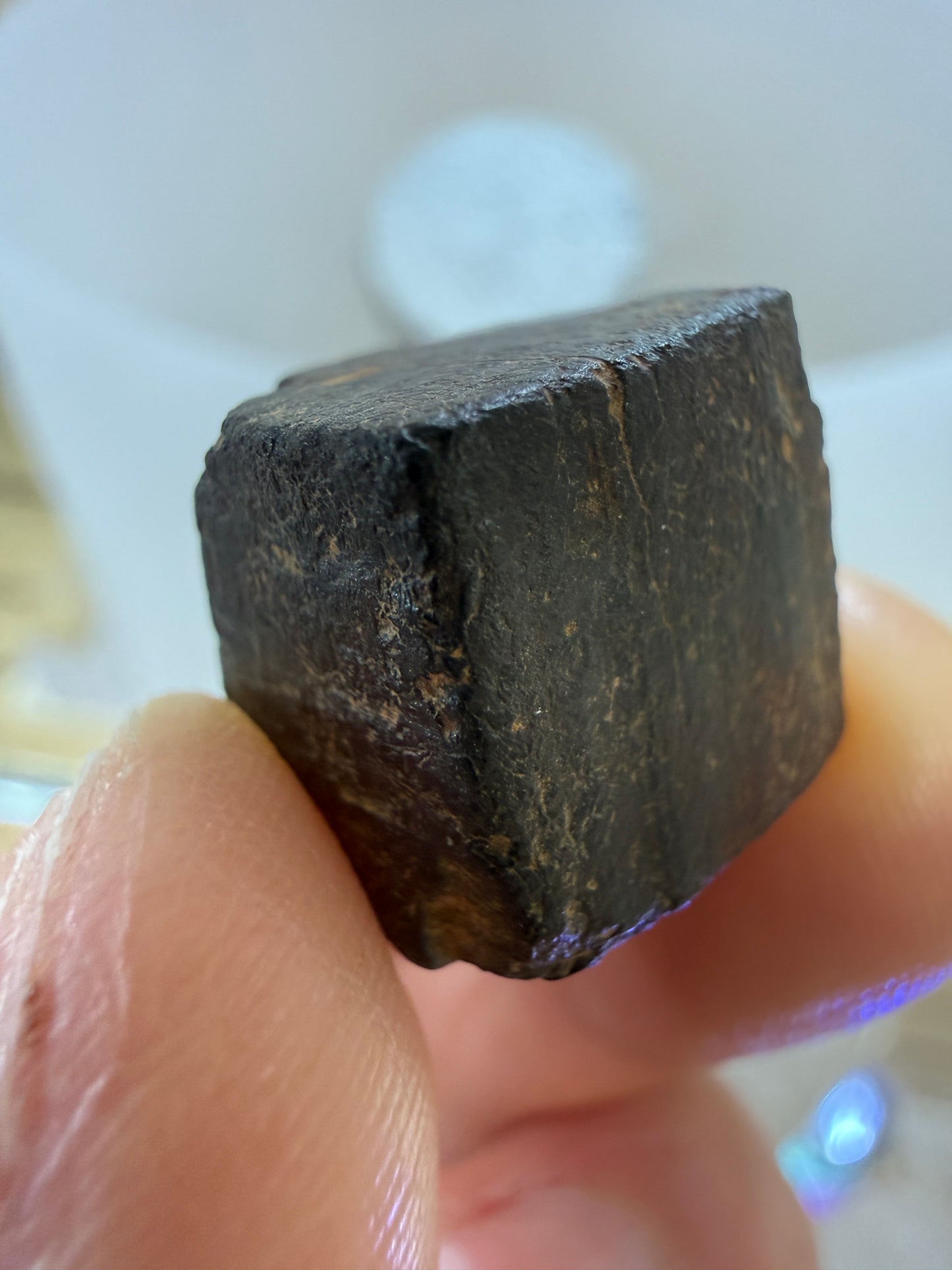 Limonite pseudomorph after Pyrite- Chapel Hill, Orange County, North Carolina, USA