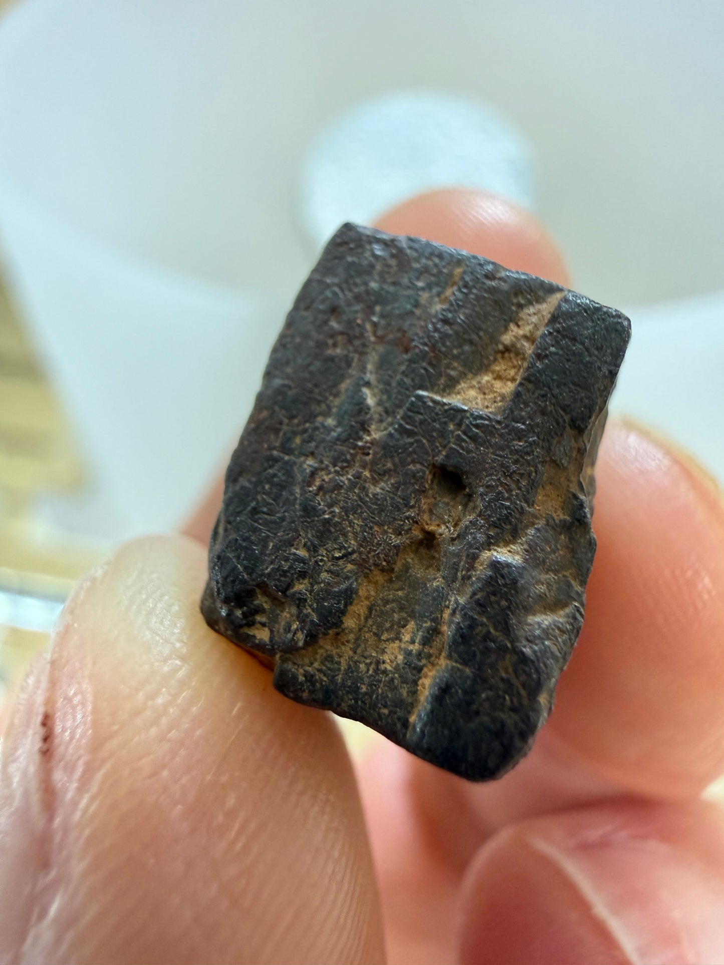 Limonite pseudomorph after Pyrite- Chapel Hill, Orange County, North Carolina, USA