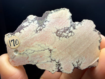 Datolite Nodule- Clark Mine, Copper Harbor, Grant Township, Keweenaw County, Michigan, USA