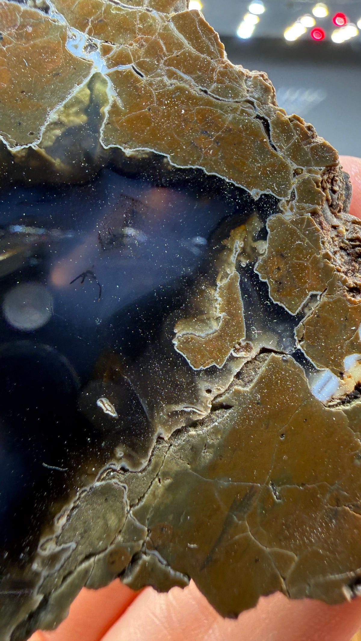 Thunderegg Agate Slice– Oregon, USA