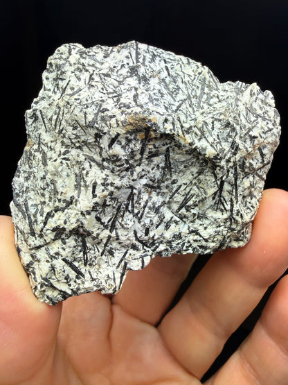 Amphibole- Barkevikite (Ferro-edenite)- Archer Camp, Fresno County, California, USA