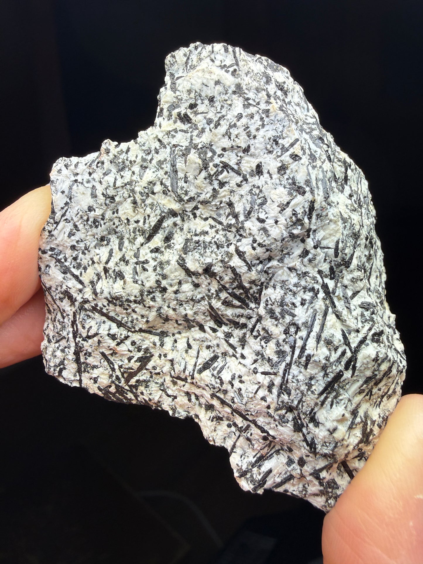 Amphibole- Barkevikite (Ferro-edenite)- Archer Camp, Fresno County, California, USA