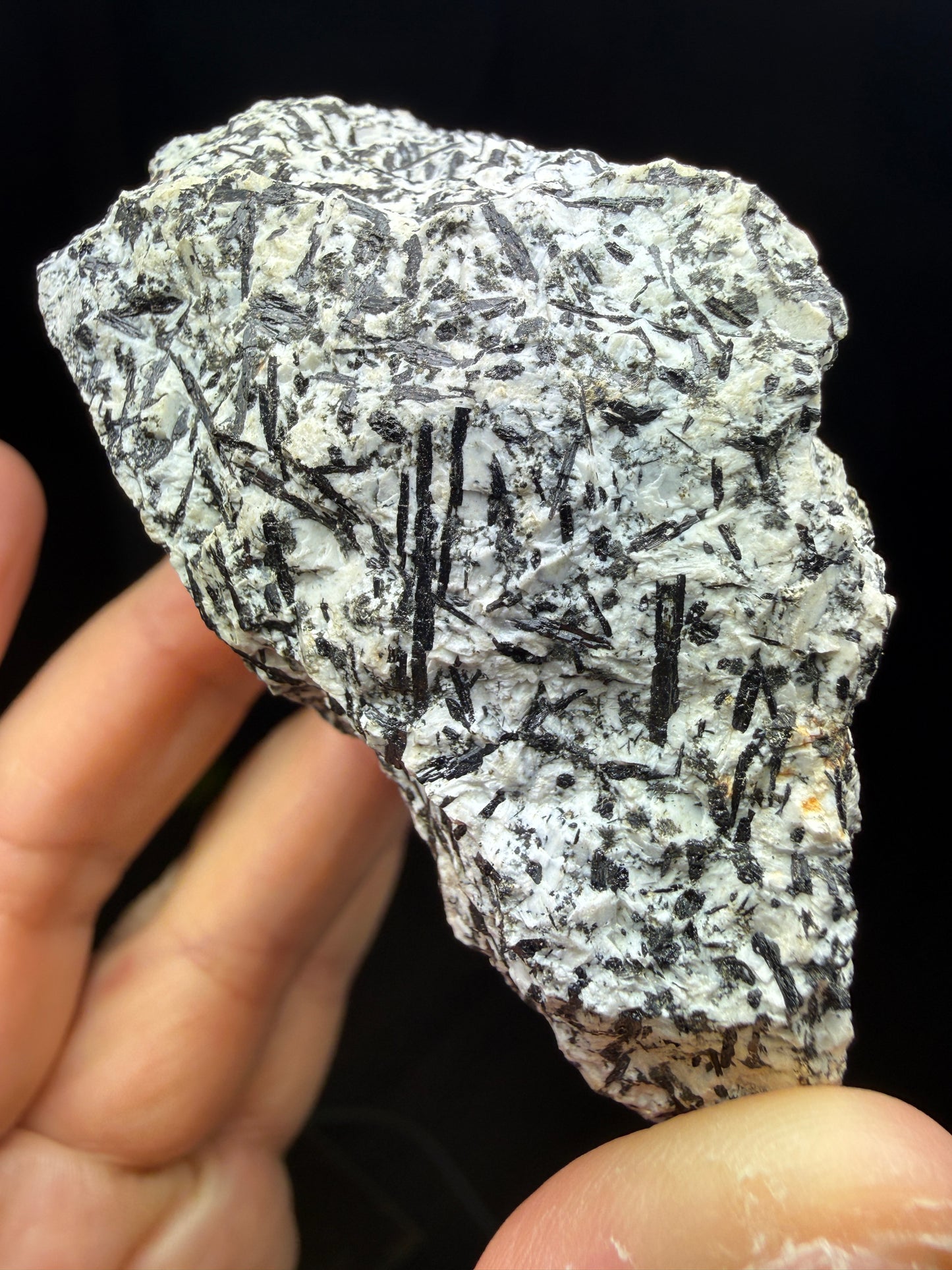 Amphibole- Barkevikite (Ferro-edenite)- Archer Camp, Fresno County, California, USA
