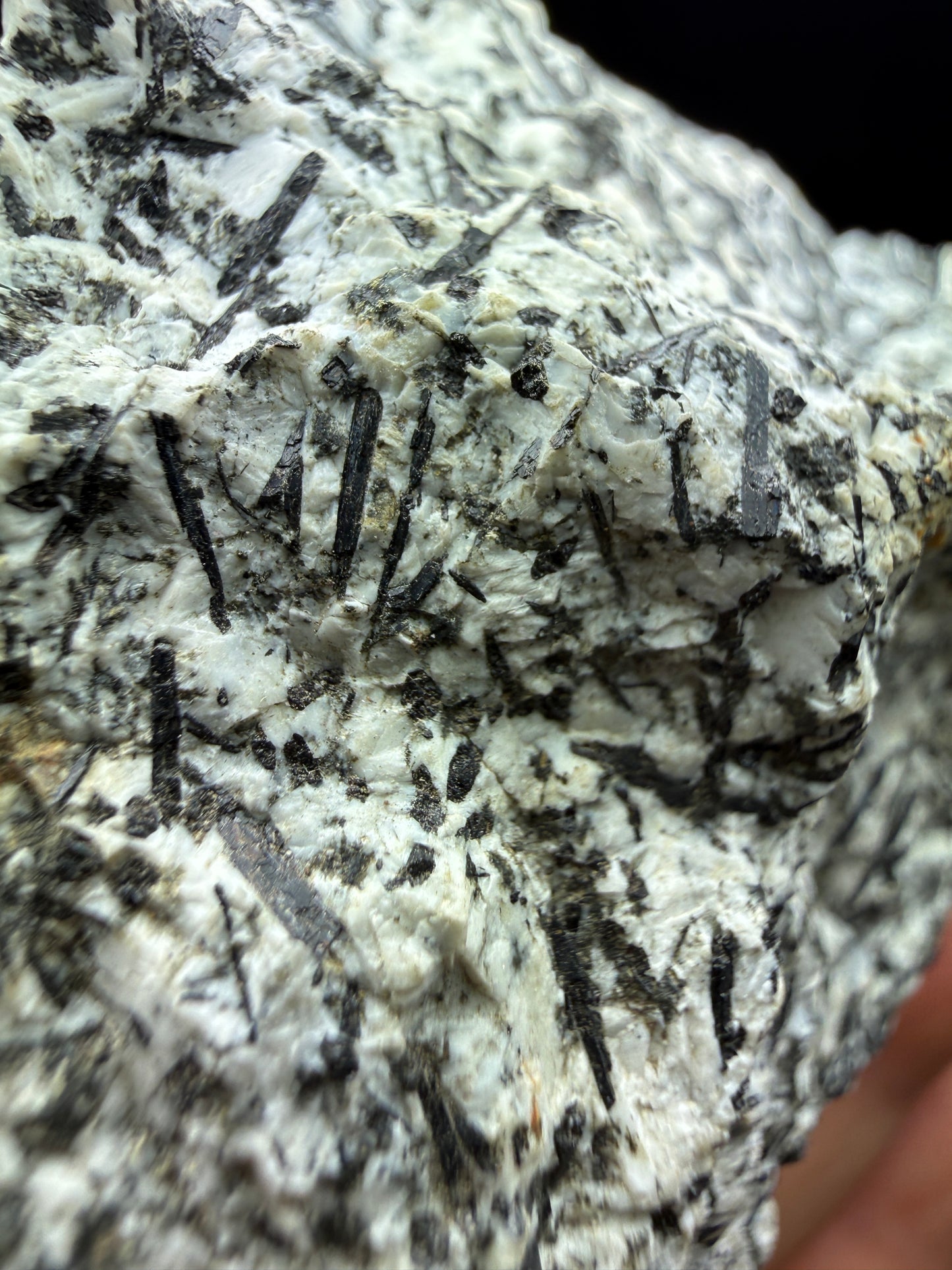 Amphibole- Barkevikite (Ferro-edenite)- Archer Camp, Fresno County, California, USA