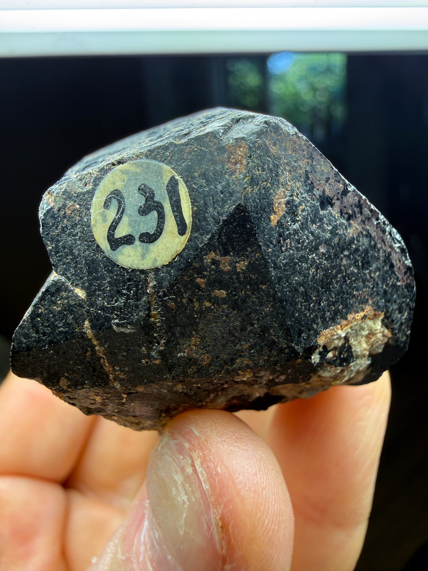 Black Tourmaline/Schorl- Black Hills, South Dakota