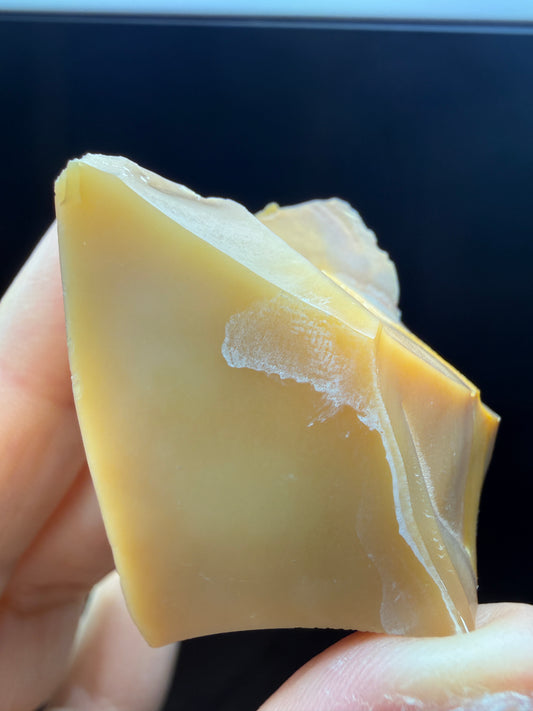 Opal- Virgin Valley, Humboldt County, Nevada, USA