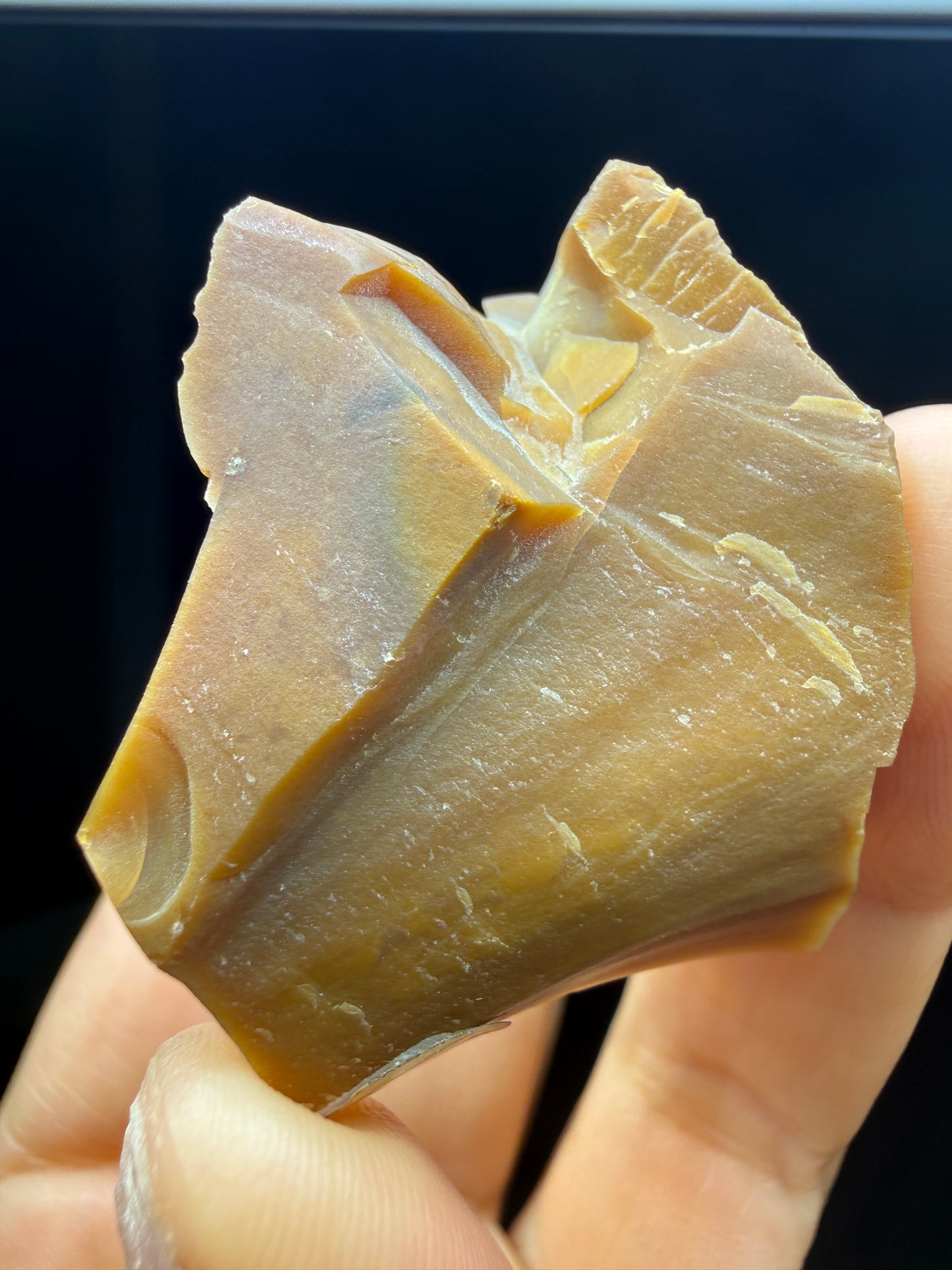 Opal- Virgin Valley, Humboldt County, Nevada, USA