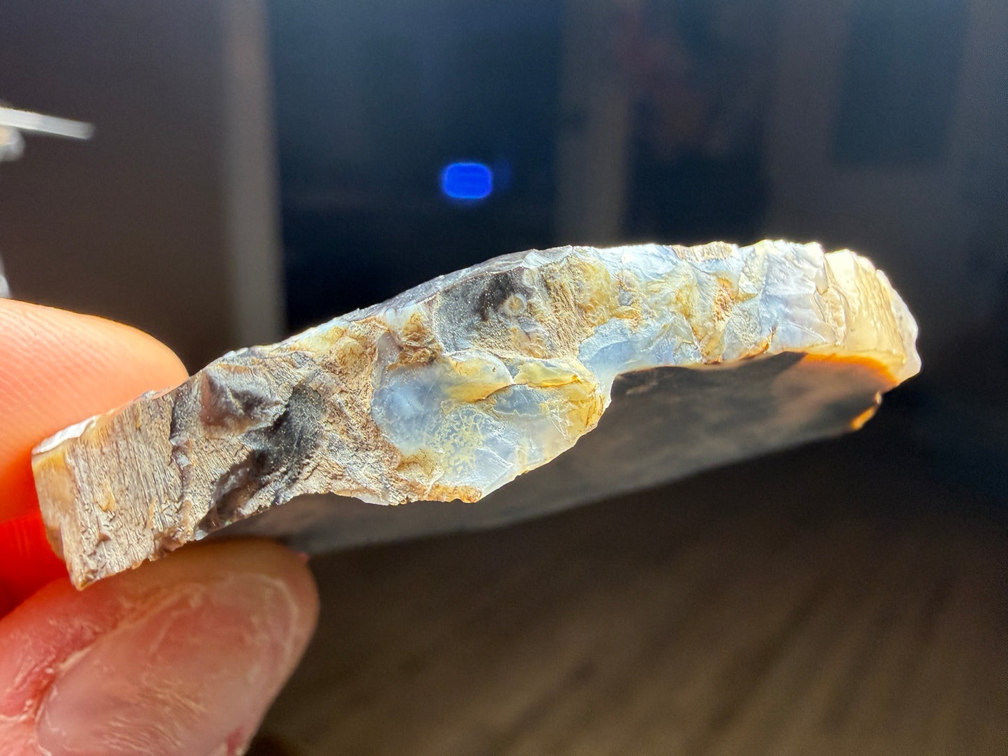 Petrified & Opalized Wood- Nevada (Unidentified locality)