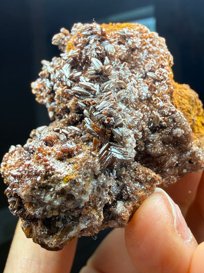 Endlichite (Arsenic-bearing Vanadinite)- Erupción Mine, Los Lamentos Mountains, Chihuahua, Mexico