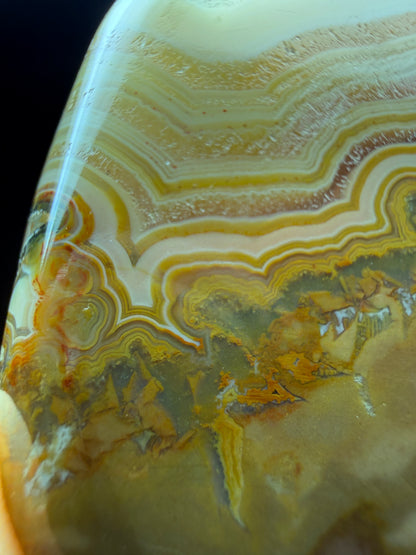 Agate- Fairburn, Custer County, South Dakota, USA